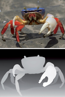 Esempio di dimensionalizzazione